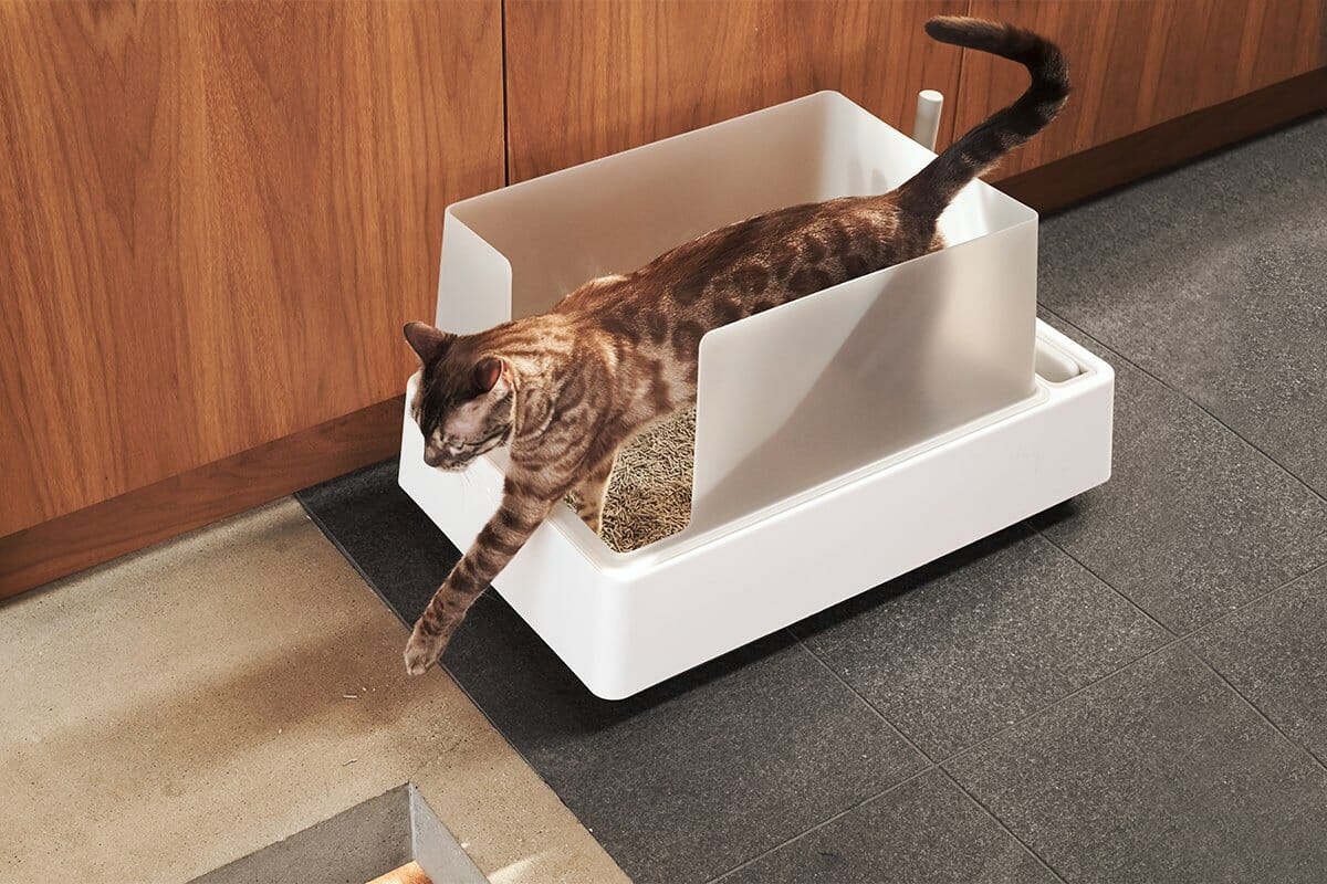 Cove Premium Cat Litter Box - Modern Design with Odor Control