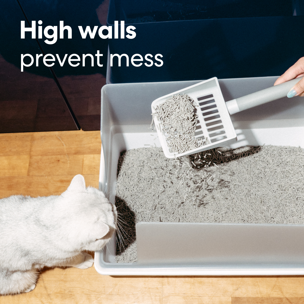 Cubby Minimalist Cat Litter Box - Modern Design with Removable Walls