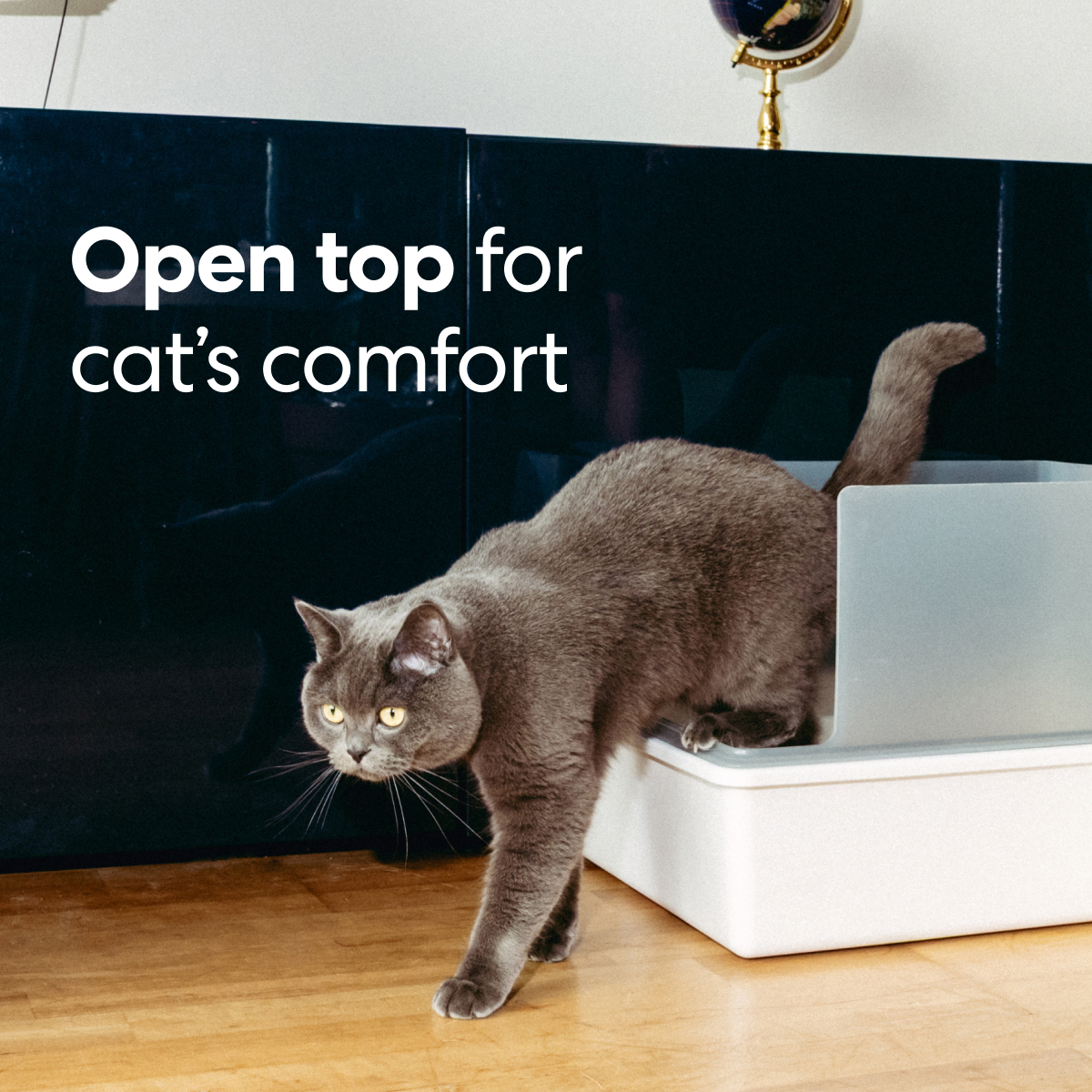 Cubby Minimalist Cat Litter Box - Modern Design with Removable Walls