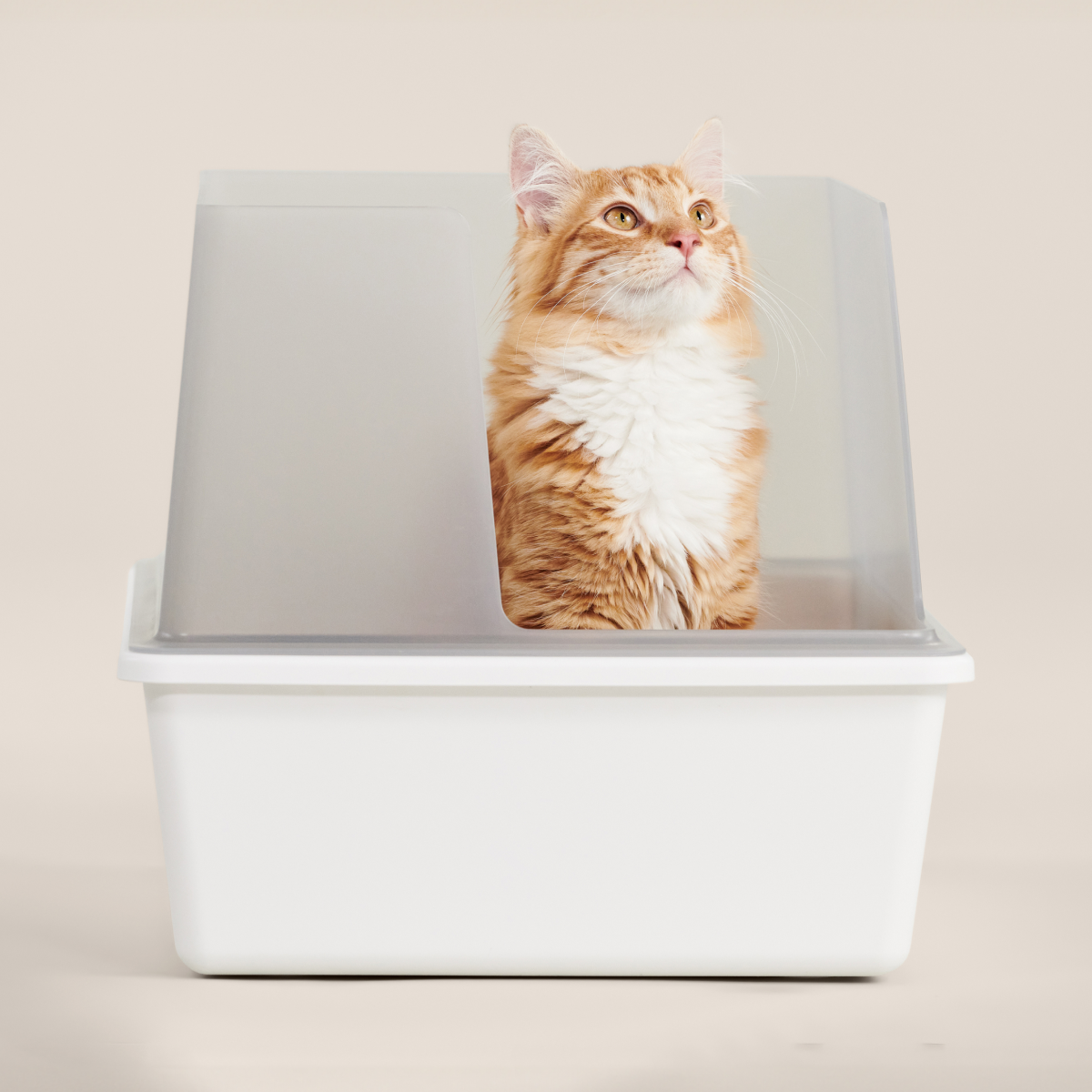 Cubby Minimalist Cat Litter Box - Modern Design with Removable Walls