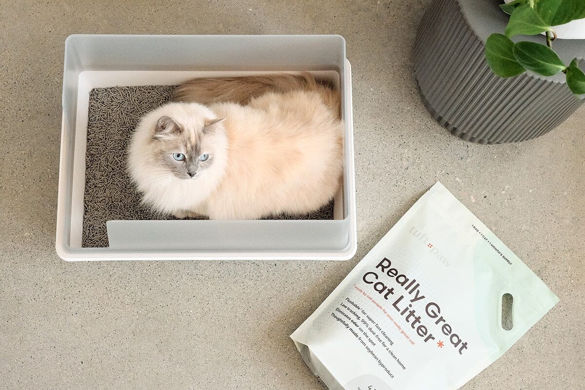 Cubby Minimalist Cat Litter Box - Modern Design with Removable Walls
