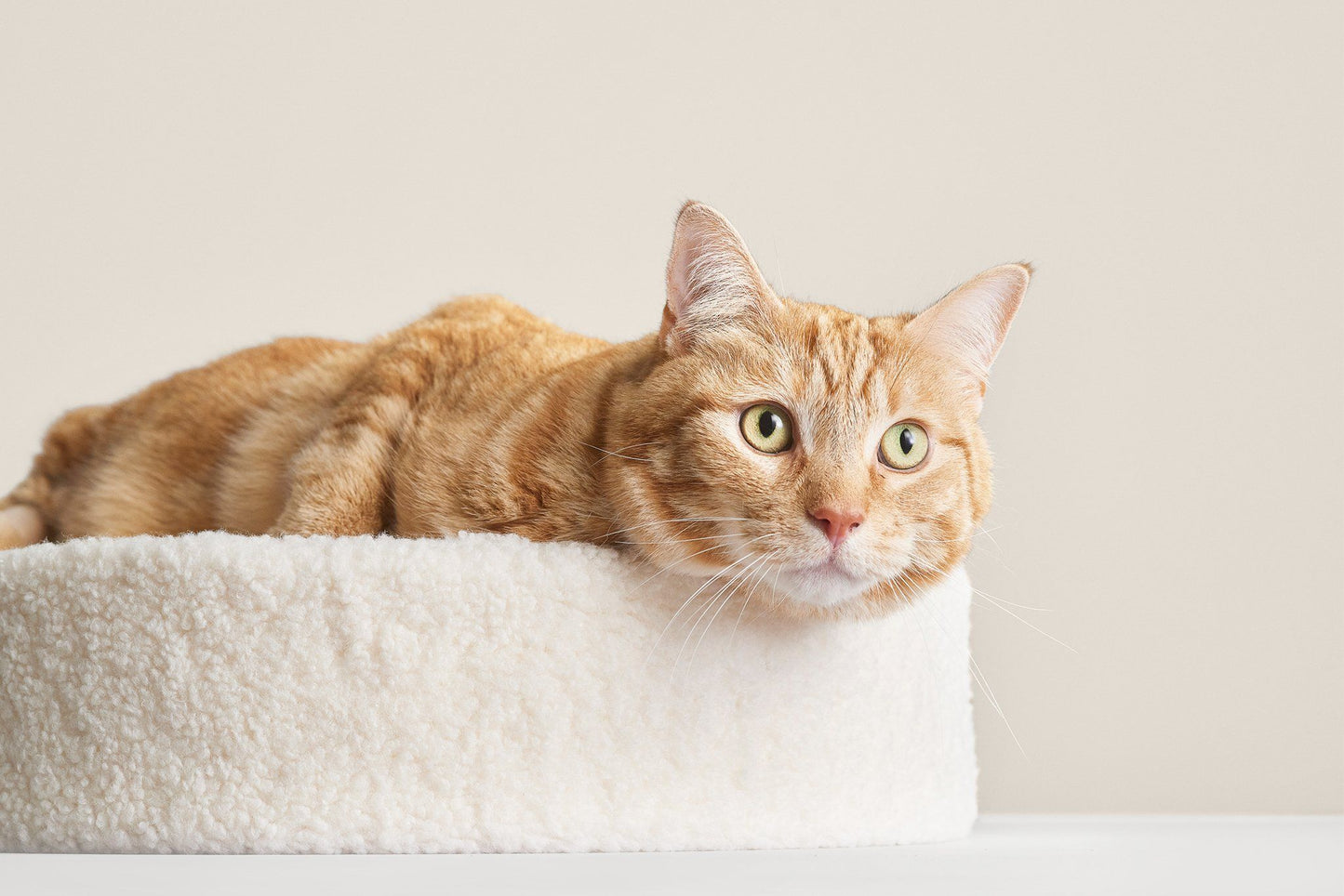 Kip Premium Cat Bed - Designer Faux Shearling Cushion with Memory Foam