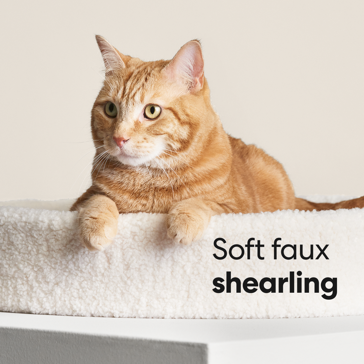 Kip Premium Cat Bed - Designer Faux Shearling Cushion with Memory Foam