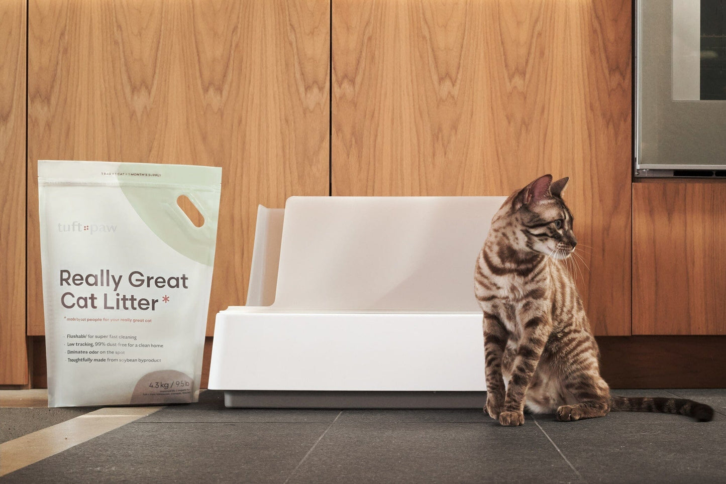 Cove Premium Cat Litter Box - Modern Design with Odor Control