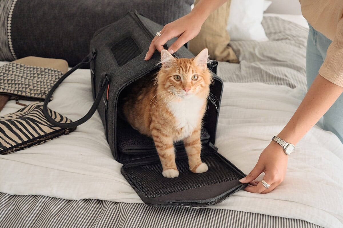Porto Airline-Approved Cat Carrier - Transforming Travel Crate with Faux Shearling