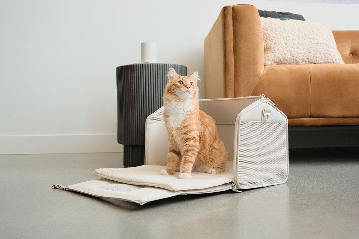 Porto Airline-Approved Cat Carrier - Transforming Travel Crate with Faux Shearling