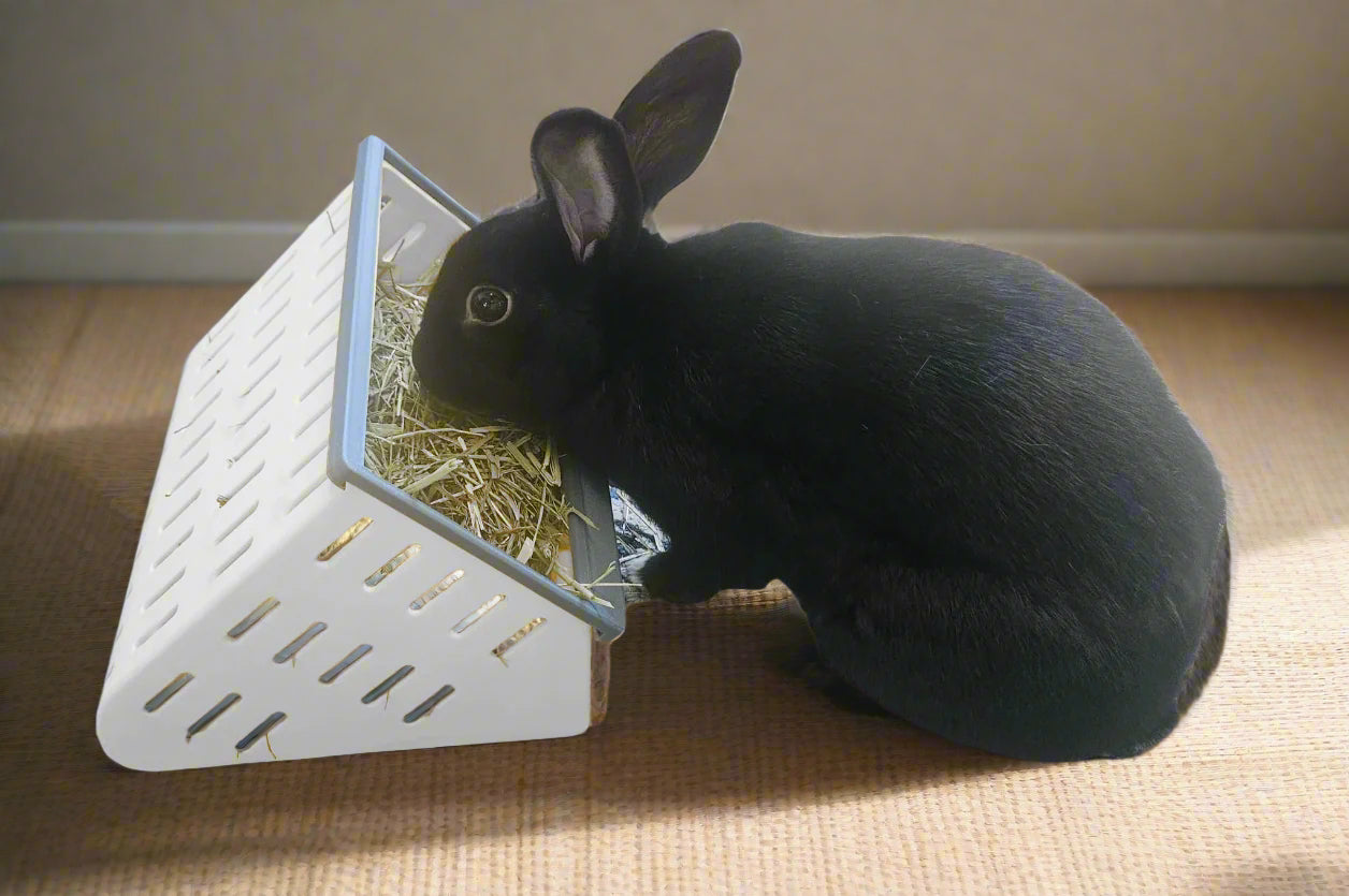 Black rabbit eating from Bunny Business Open Air Hay Feeder - Reduces waste and encourages natural feedin