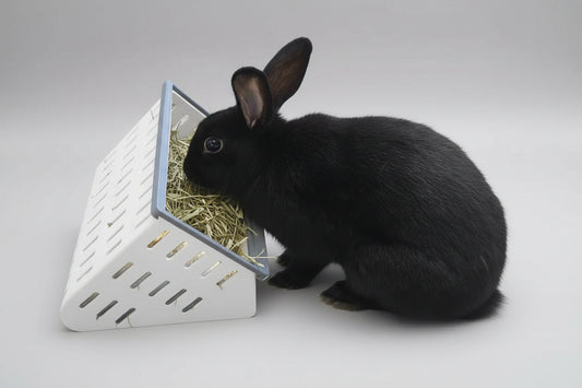 Open Air Hay Feeder and Hay Roller Bundle | 6 Colors