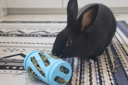 Hay Roller - Spring Fling Pastel Edition