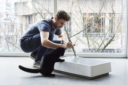 Cove Premium Cat Litter Box - Modern Design with Odor Control