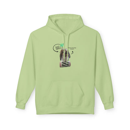 "Bailey" Fleece Hoodie Pistachio