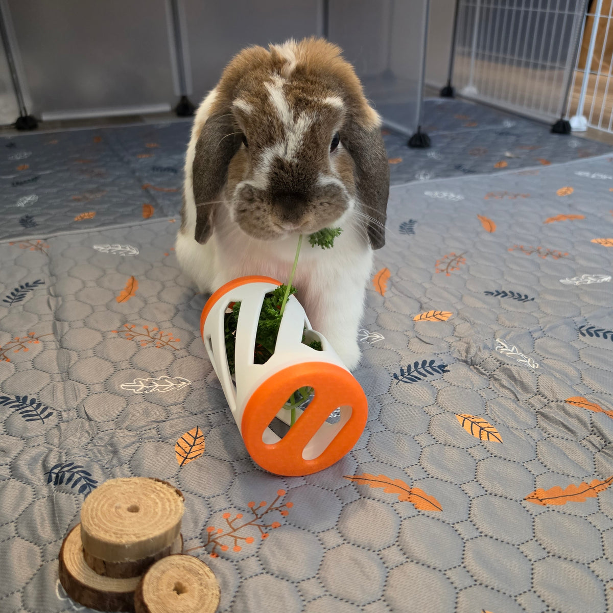 A brown and white lop-eared rabbit sits on a gray patterned blanket, eating green leafy greens from an orange and white cylindrical plastic toy. Small wooden log blocks are placed nearby on the blanket.