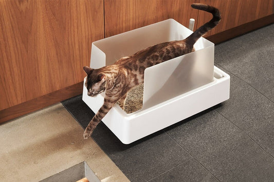 Cove Premium Cat Litter Box - Modern Design with Odor Control