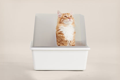 Cubby Minimalist Cat Litter Box - Modern Design with Removable Walls
