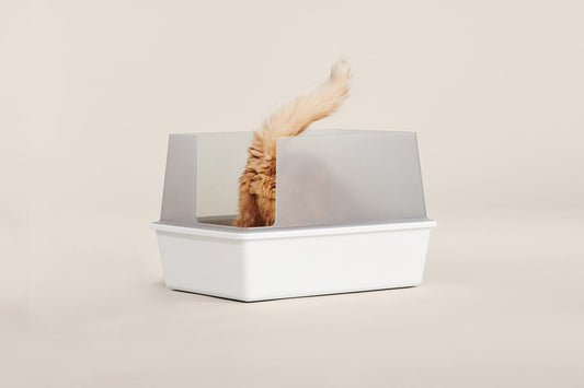 Cubby Minimalist Cat Litter Box - Modern Design with Removable Walls