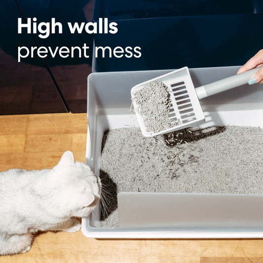 Cubby Minimalist Cat Litter Box - Modern Design with Removable Walls