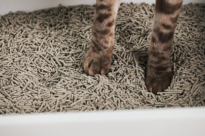 Cubby Minimalist Cat Litter Box - Modern Design with Removable Walls