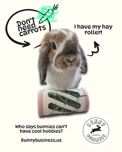 Rabbit using Bunny Business hay roller - Small pet enrichment toy for exercise and foraging
