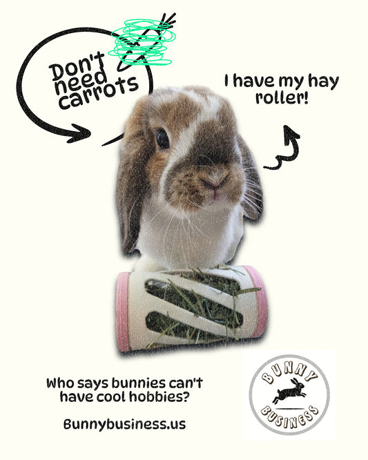 Rabbit using Bunny Business hay roller - Small pet enrichment toy for exercise and foraging
