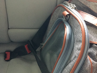 Mr. Peanut's Gold Series Standard Size Airline Compliant Pet Carrier