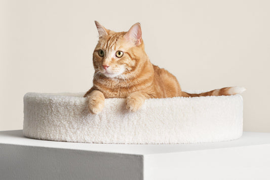 Kip Premium Cat Bed - Designer Faux Shearling Cushion with Memory Foam
