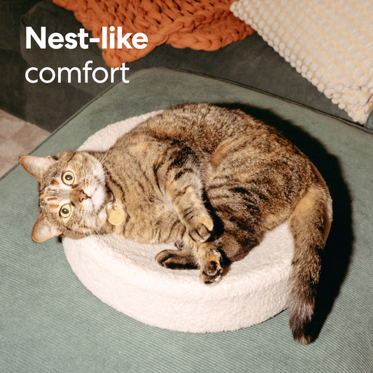 Kip Premium Cat Bed - Designer Faux Shearling Cushion with Memory Foam