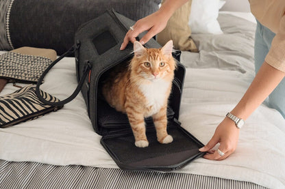 Porto Airline-Approved Cat Carrier - Transforming Travel Crate with Faux Shearling