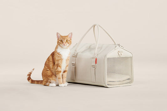 Porto Airline-Approved Cat Carrier - Transforming Travel Crate with Faux Shearling