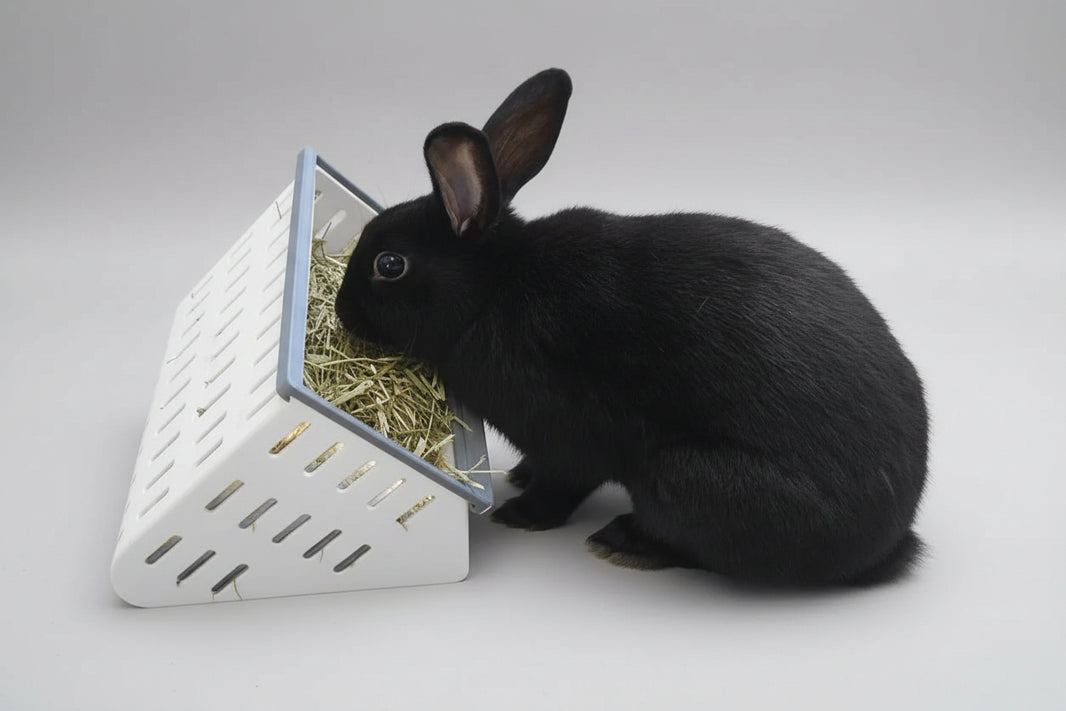 Bunny Business - Premium Rabbit Supplies & Pet Care Products