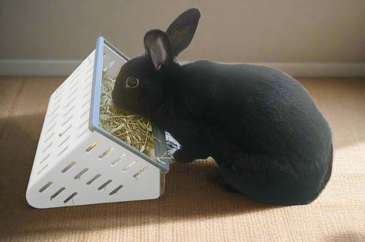 Black rabbit eating from Bunny Business Open Air Hay Feeder - Reduces waste and encourages natural feedin