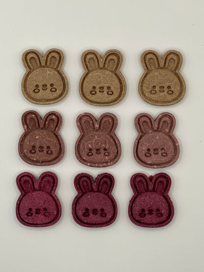 Colorful Bunnies