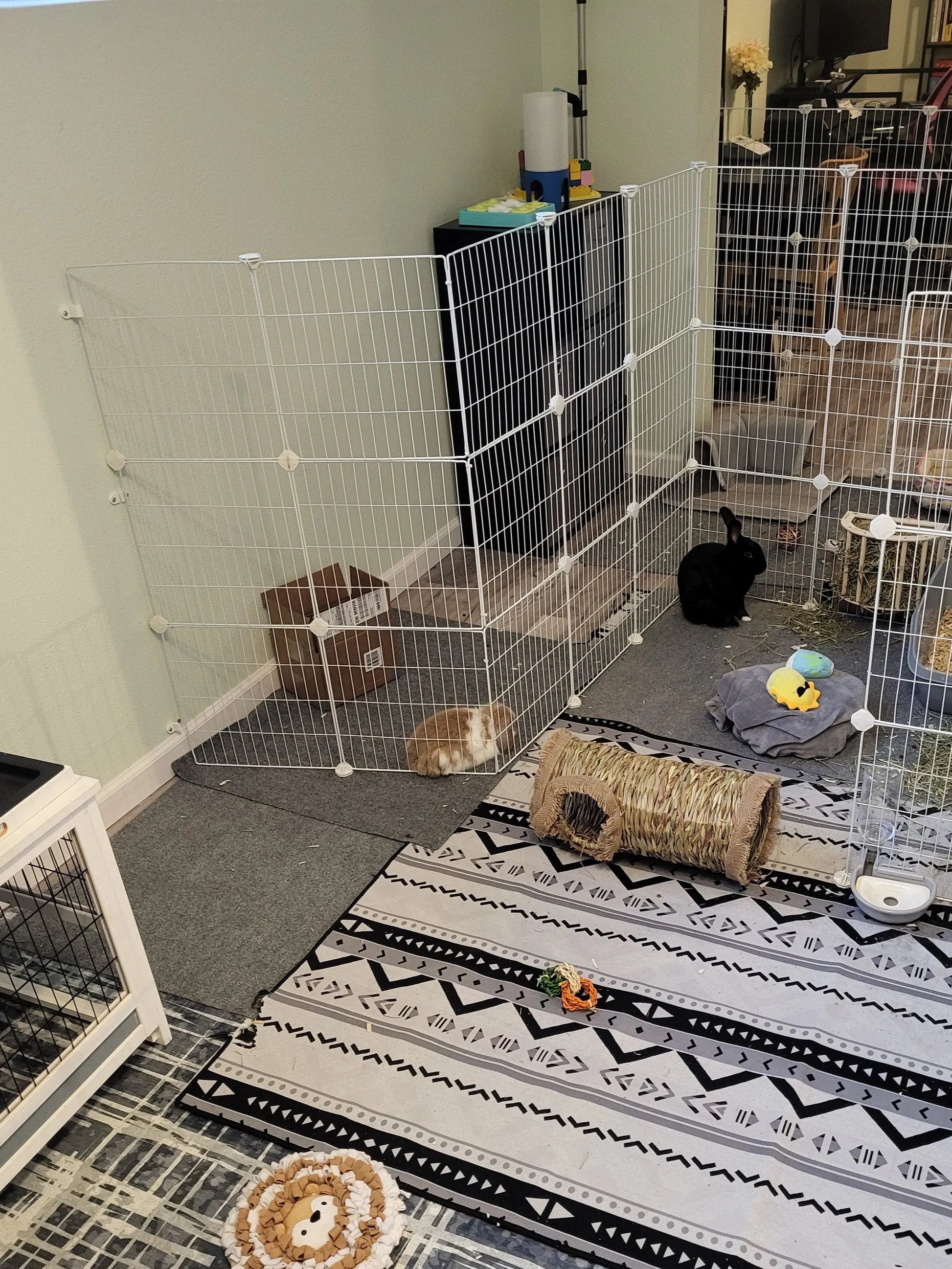 XPen Wall Brackets Wholesale Pack (set of 3)