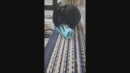 Black rabbit playing with Bunny Business blue hay roller toy - Pet enrichment exercise demonstration