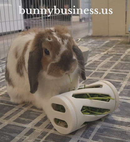 The Open Air Hay Feeder and Hay Roller Bundle