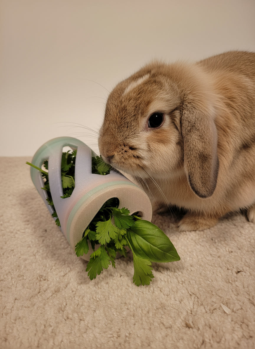 Bunny Business - Premium Rabbit Supplies & Pet Care Products